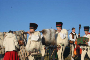 Program napady zbójnickie