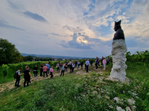 Srebrna Góra